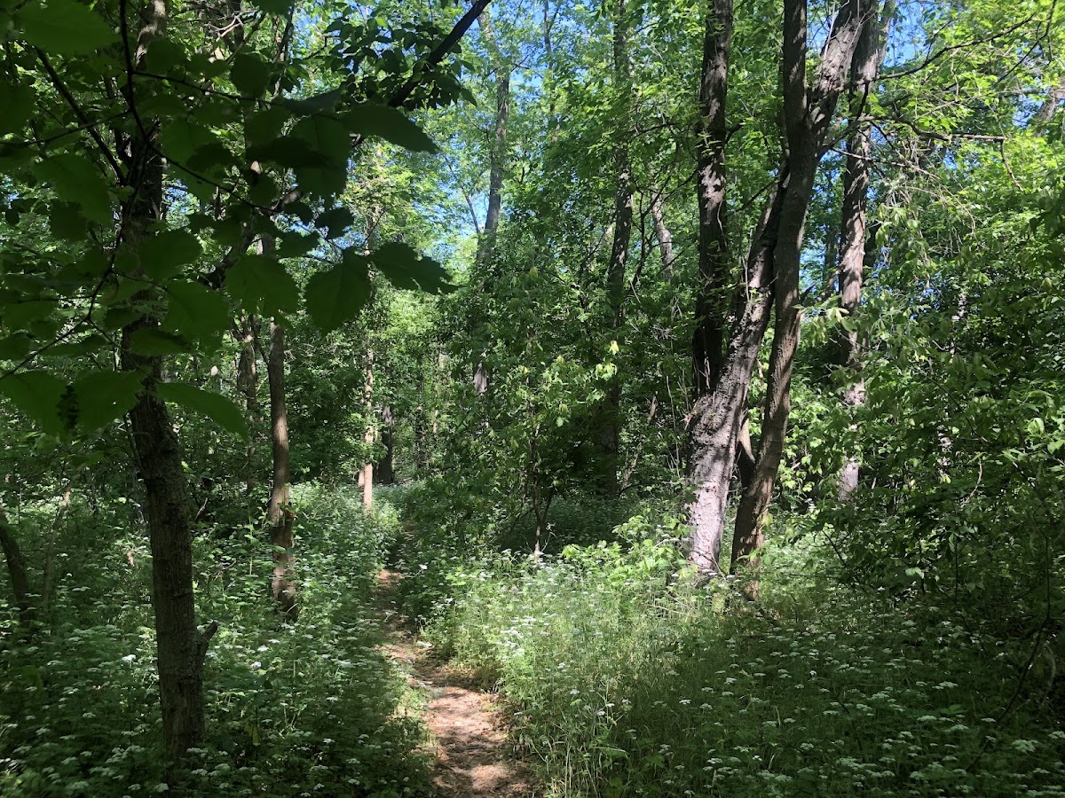 Rotary Nature Trail