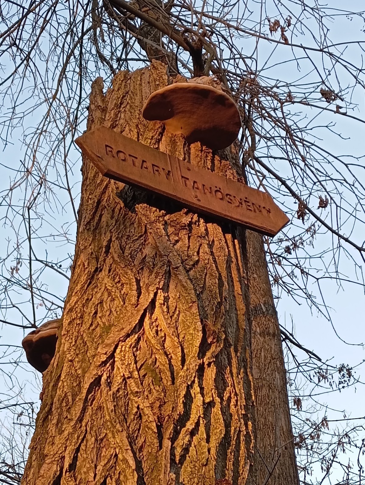 Rotary Nature Trail