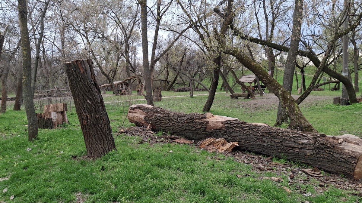 Rotary Nature Trail
