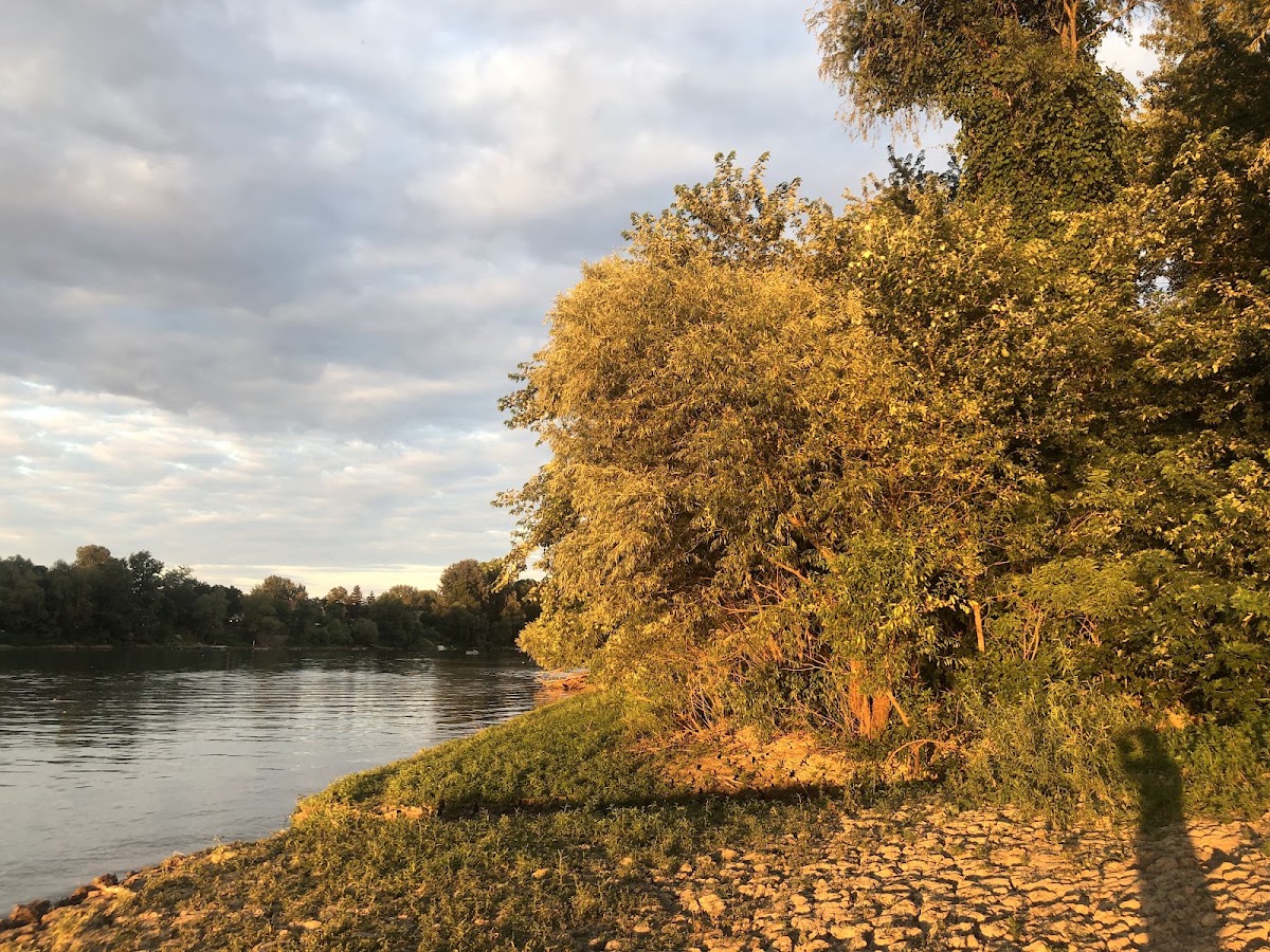 Rotary Nature Trail
