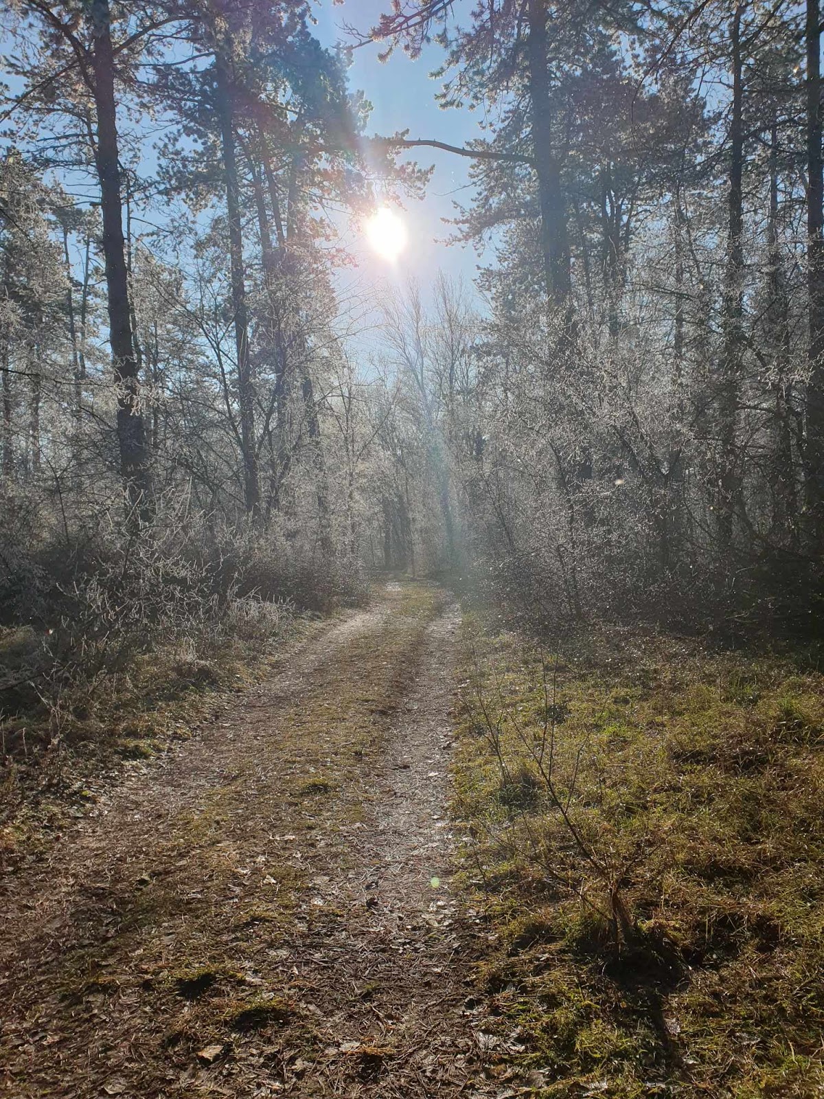Sziksóstó körüli séta útvonal