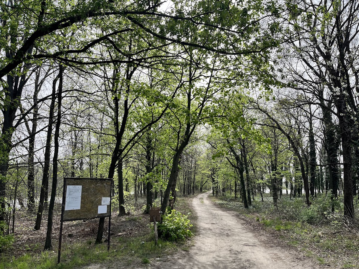 Sziksóstó körüli séta útvonal