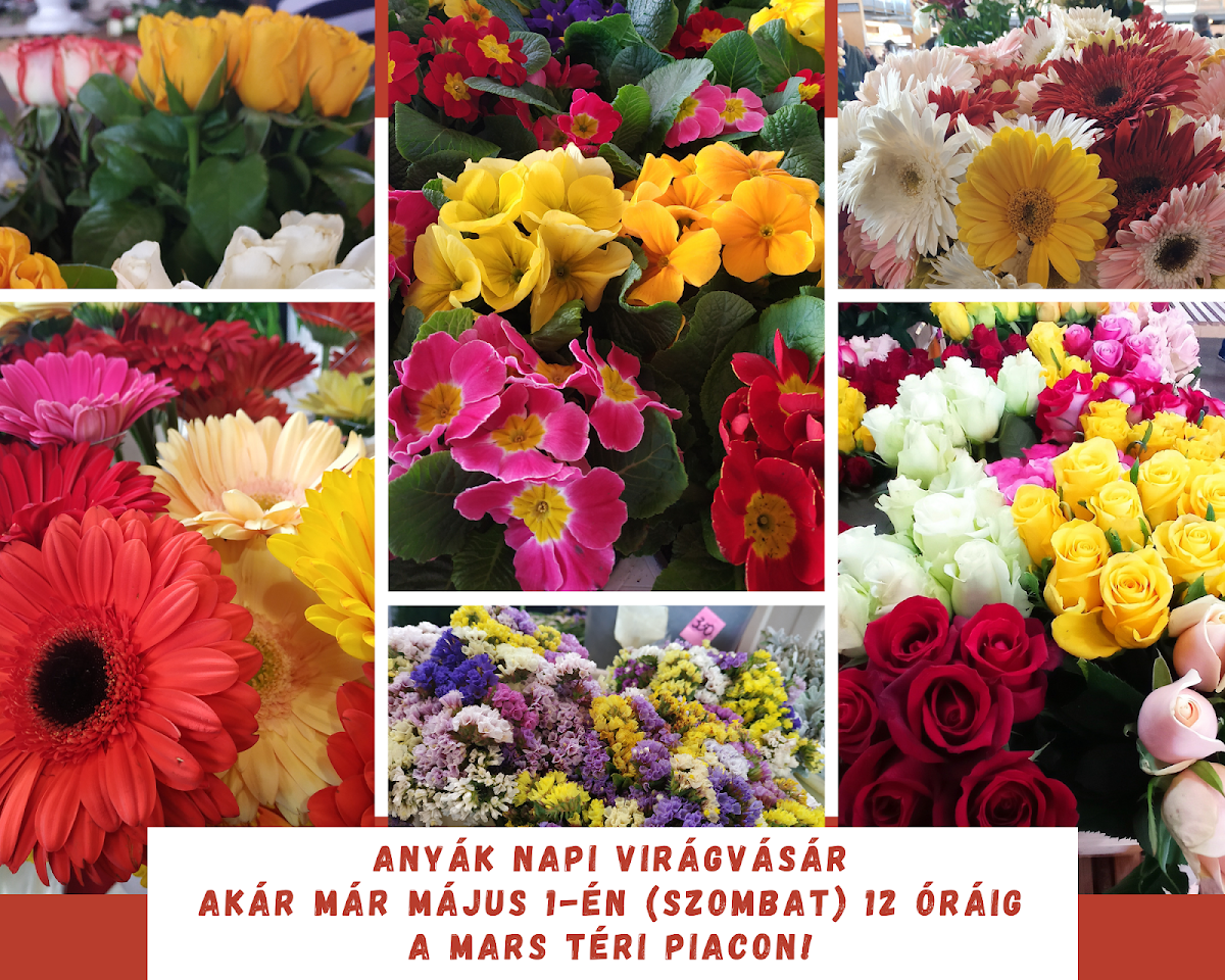 Szegedi Fair and Market Operator Ltd.