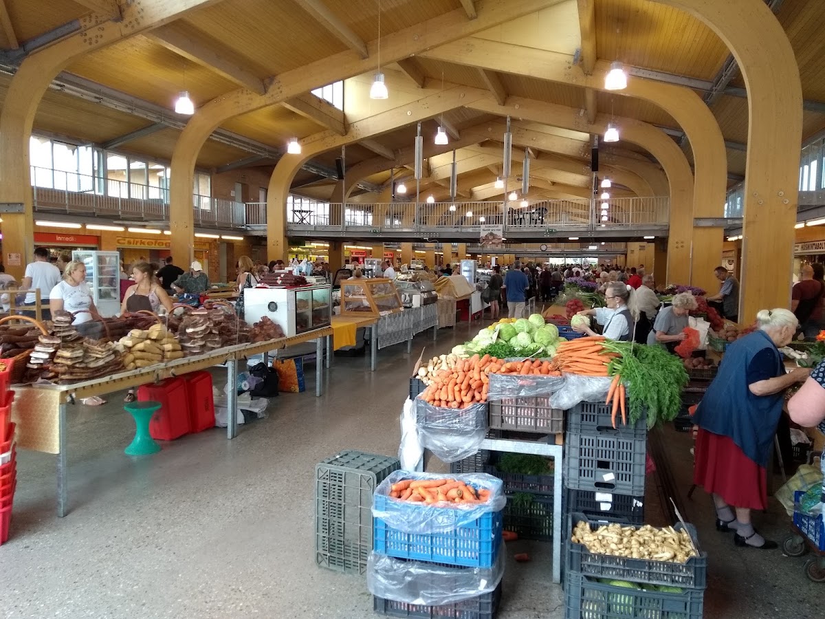 Szegedi Fair and Market Operator Ltd.