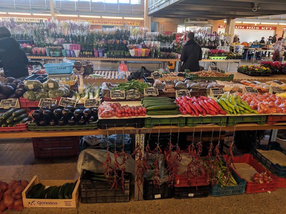 Szegedi Fair and Market Operator Ltd.