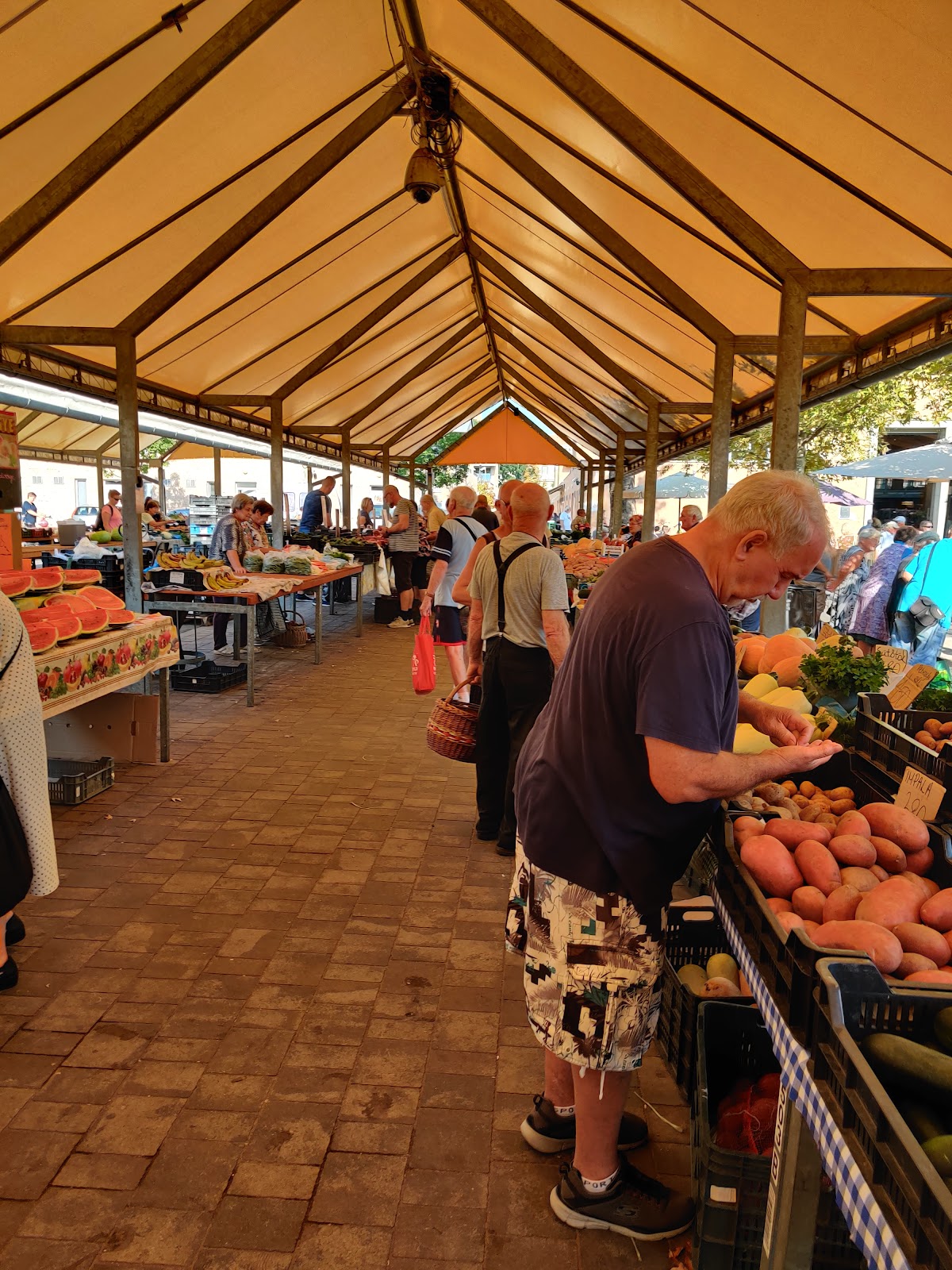 Szegedi Fair and Market Operator Ltd.