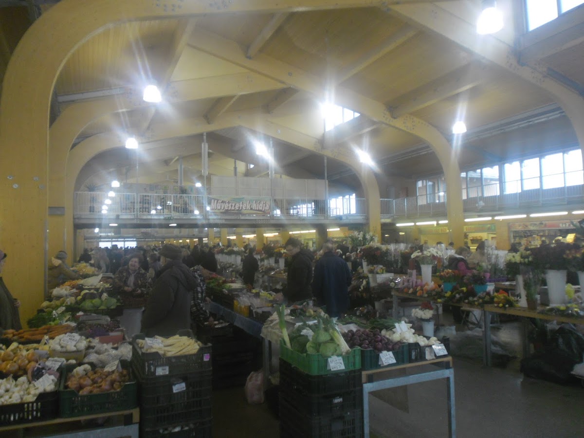 Szegedi Fair and Market Operator Ltd.