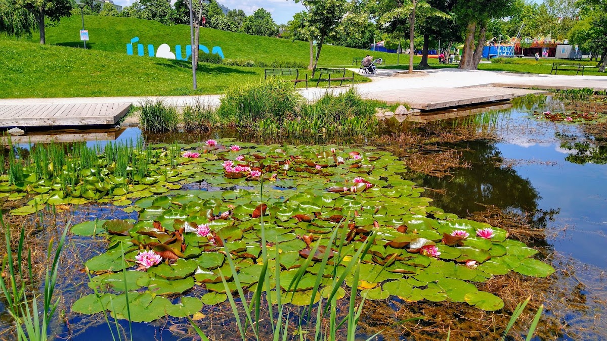 Bikás park