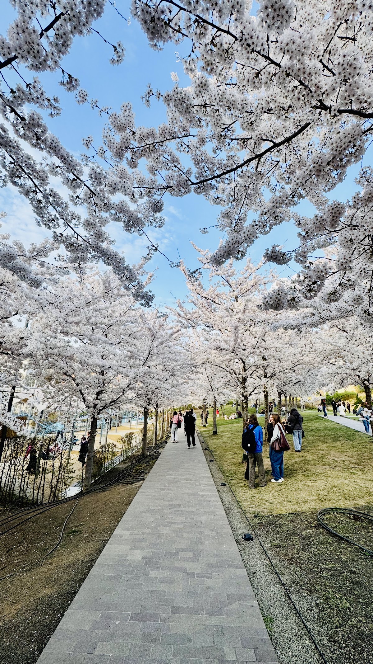 Millenáris Park