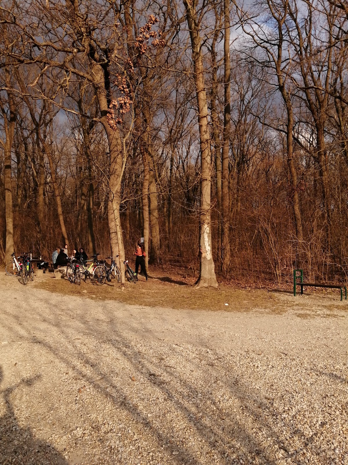 Győri Püspökerdei Tanösvény