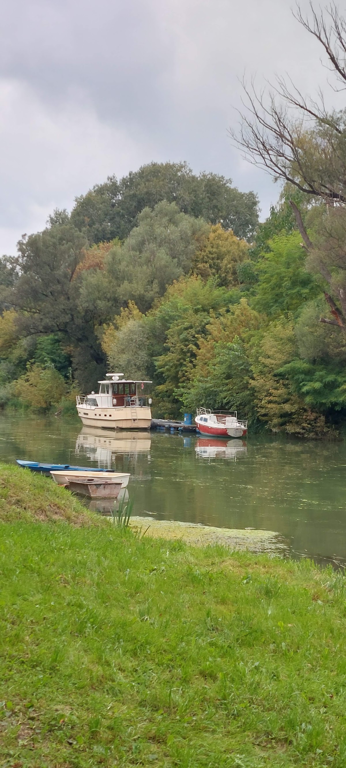 Szúnyog-sziget