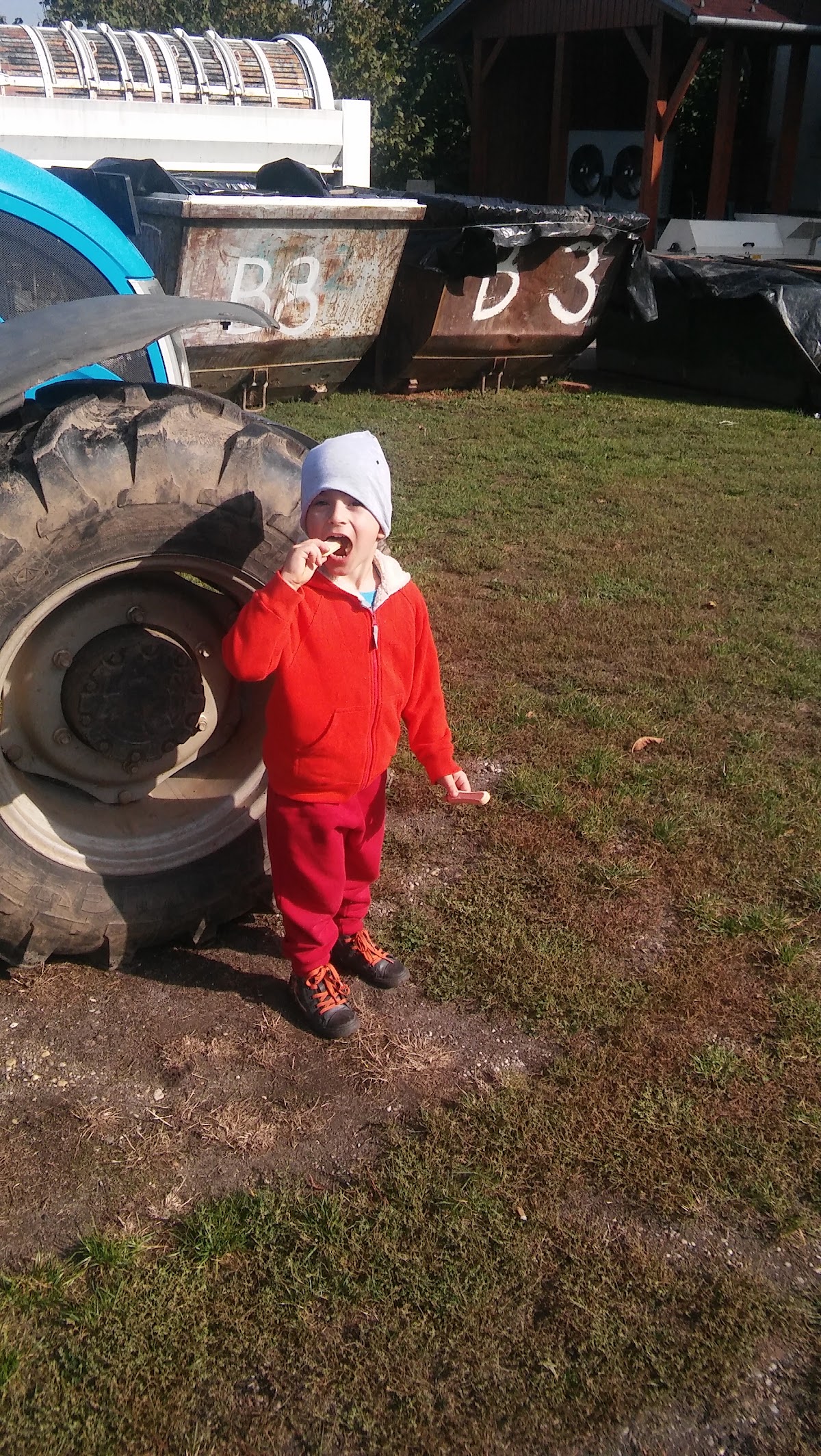 Babarczi pince
