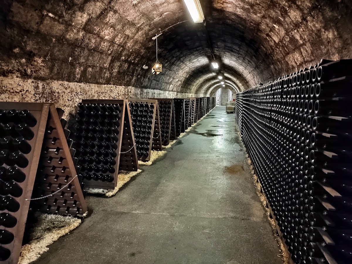 Törley Sparkling Wine Cellar
