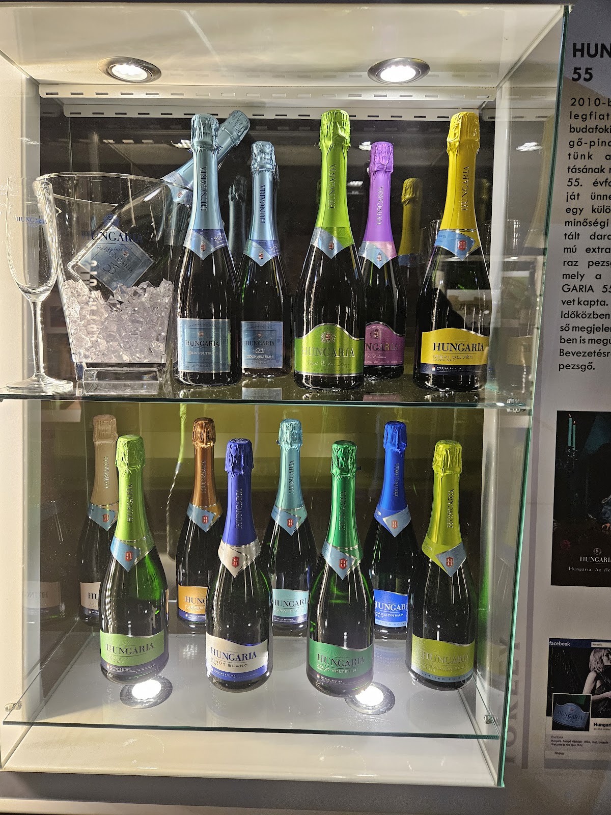 Törley Sparkling Wine Cellar