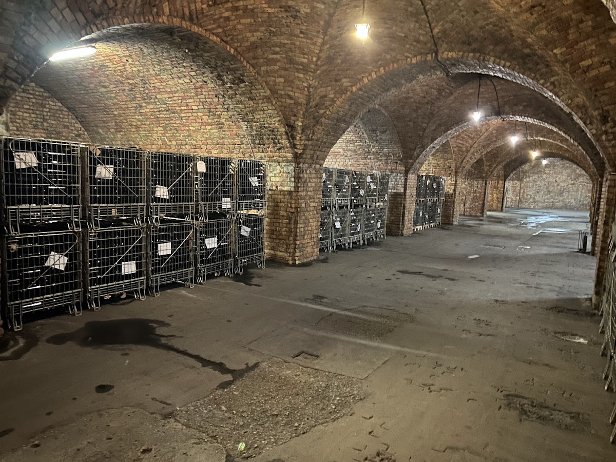 Törley Sparkling Wine Cellar