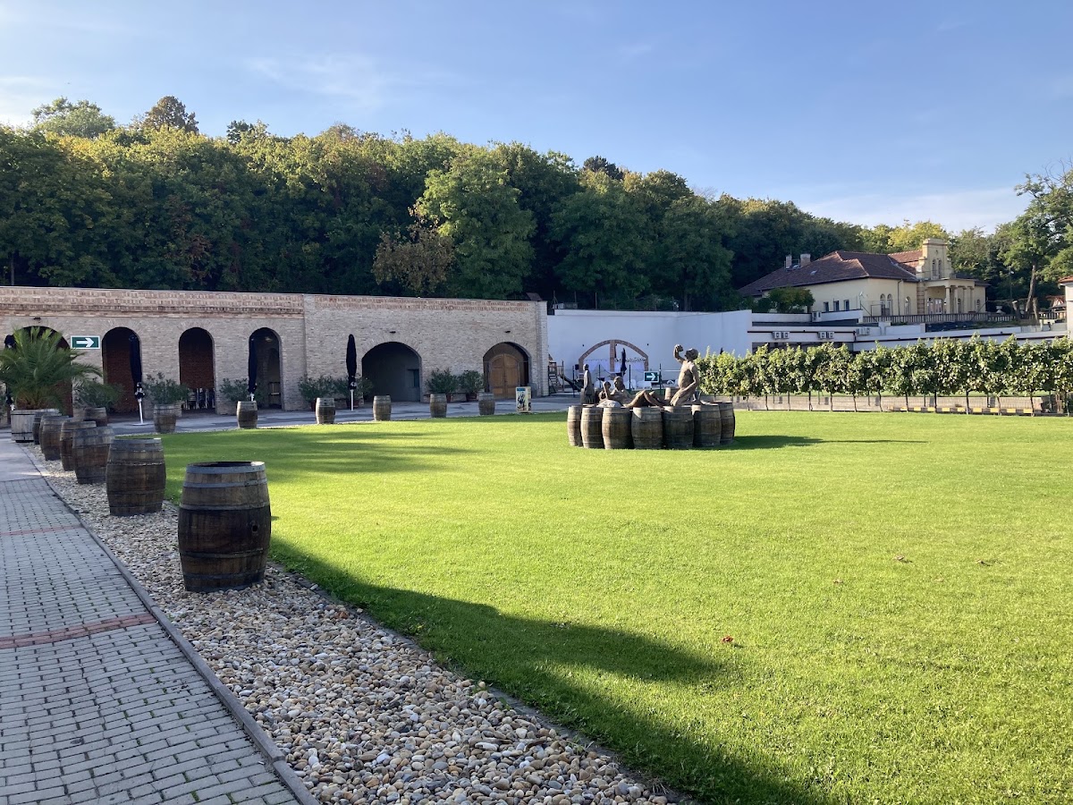 Törley Sparkling Wine Cellar