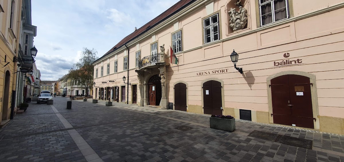 Rómer Flóris Művészeti és Történeti Múzeum - Igazgatóság