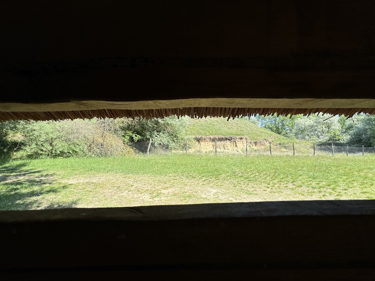 Gyurgyalagles