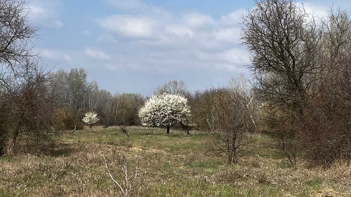 Sóstó Tanösvény, Nyugati Kapu