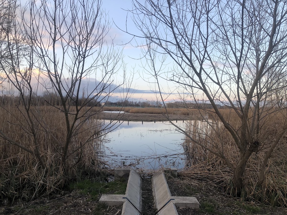 Sóstó Tanösvény, Nyugati Kapu