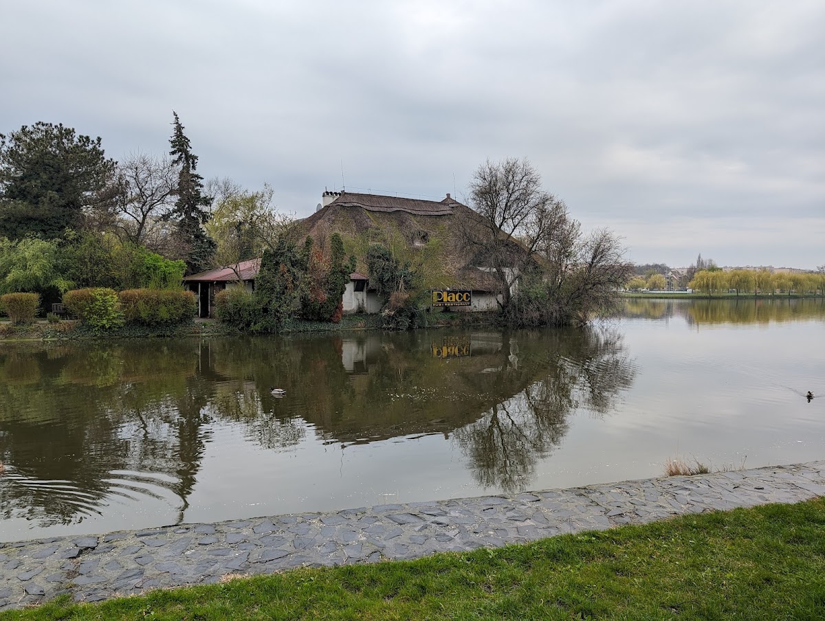 Placc Pub & Restaurant