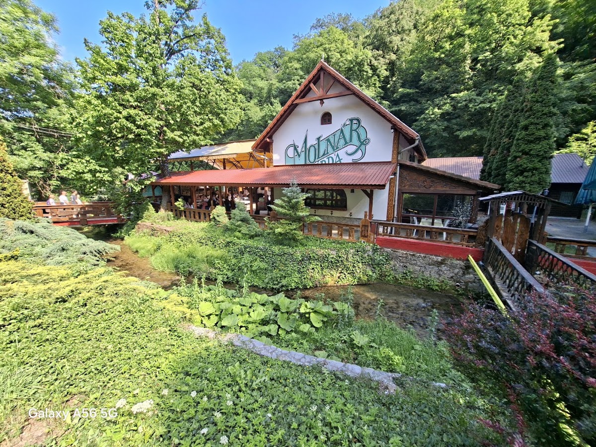 Molnár Csárda Étterem