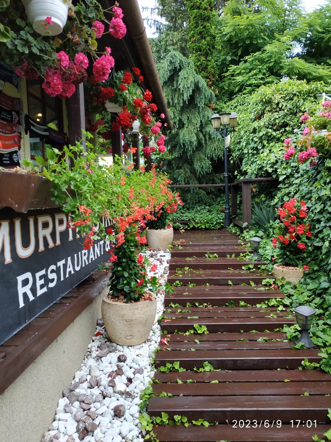 Murphy's Étterem