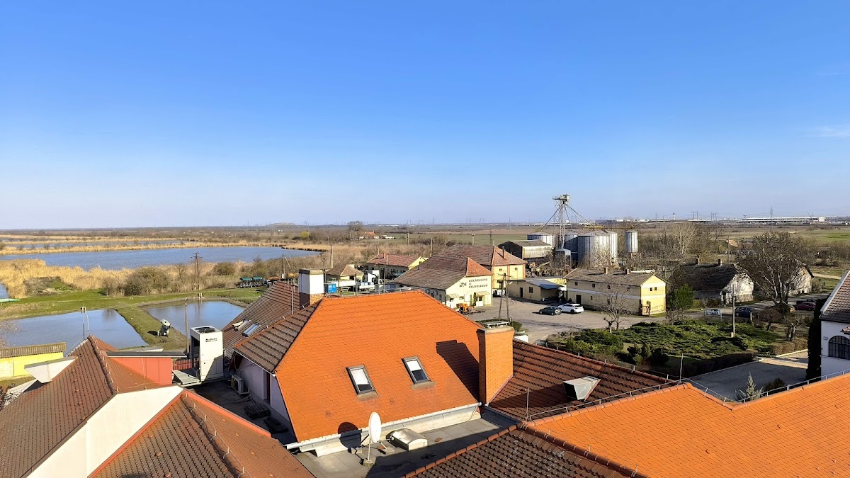 Fehértói Fish Restaurant and Pension