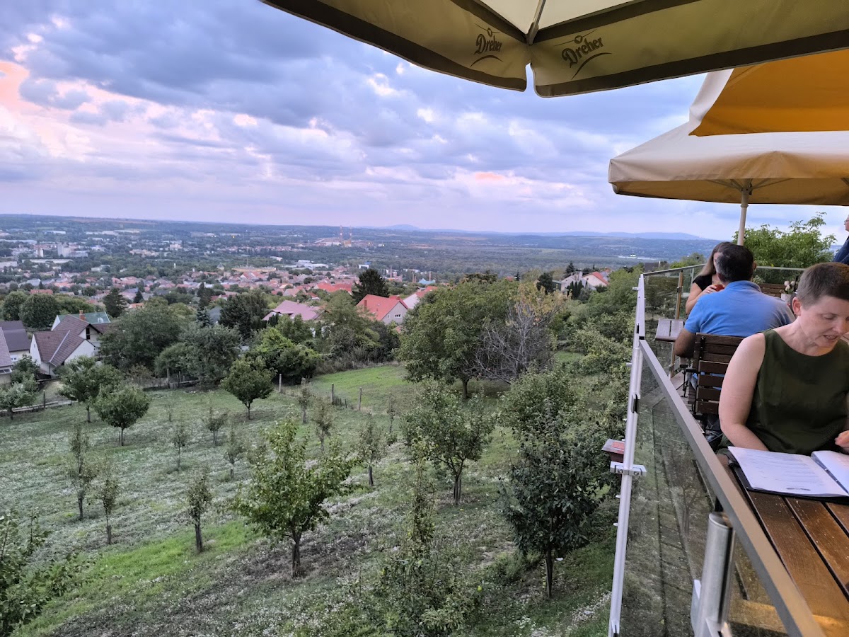 Bagolyvár