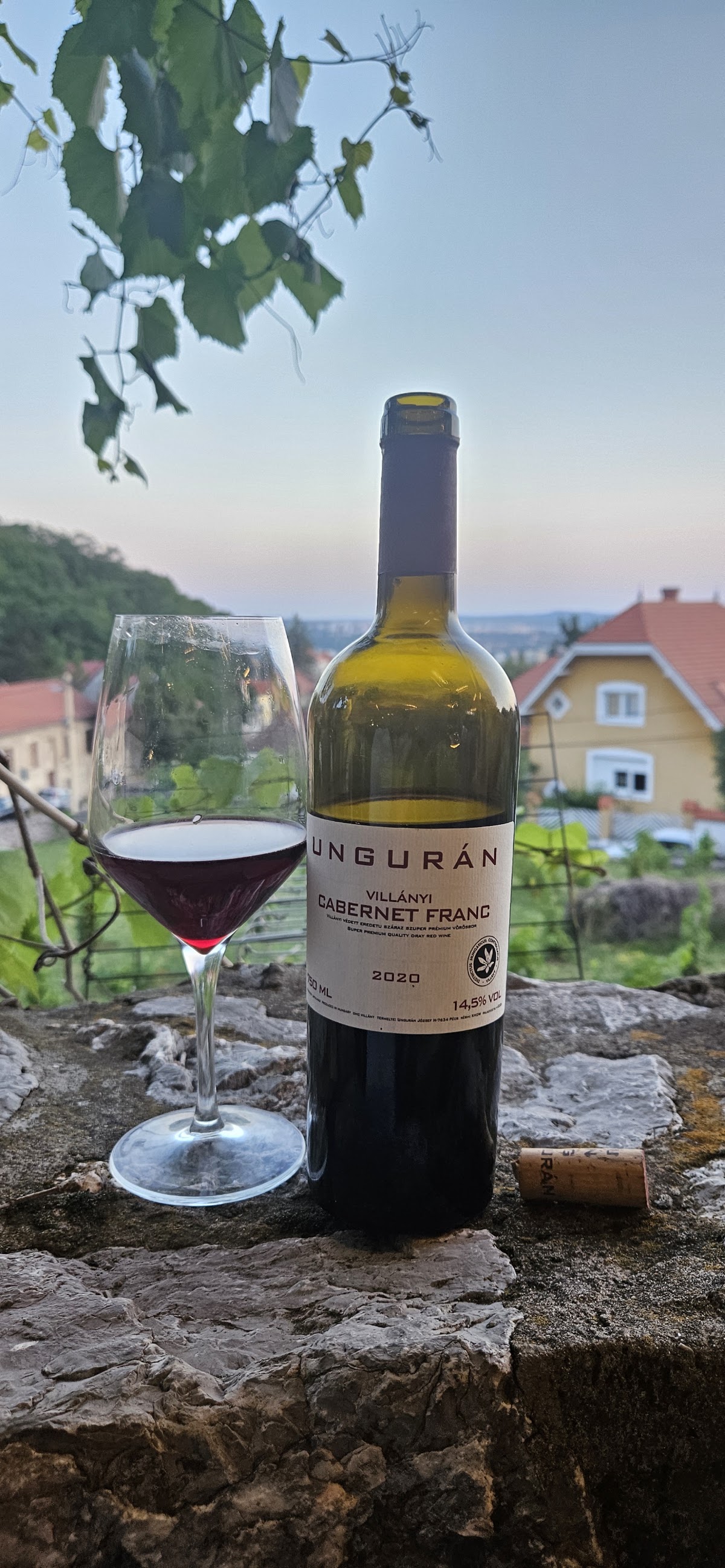 Tüke Borház